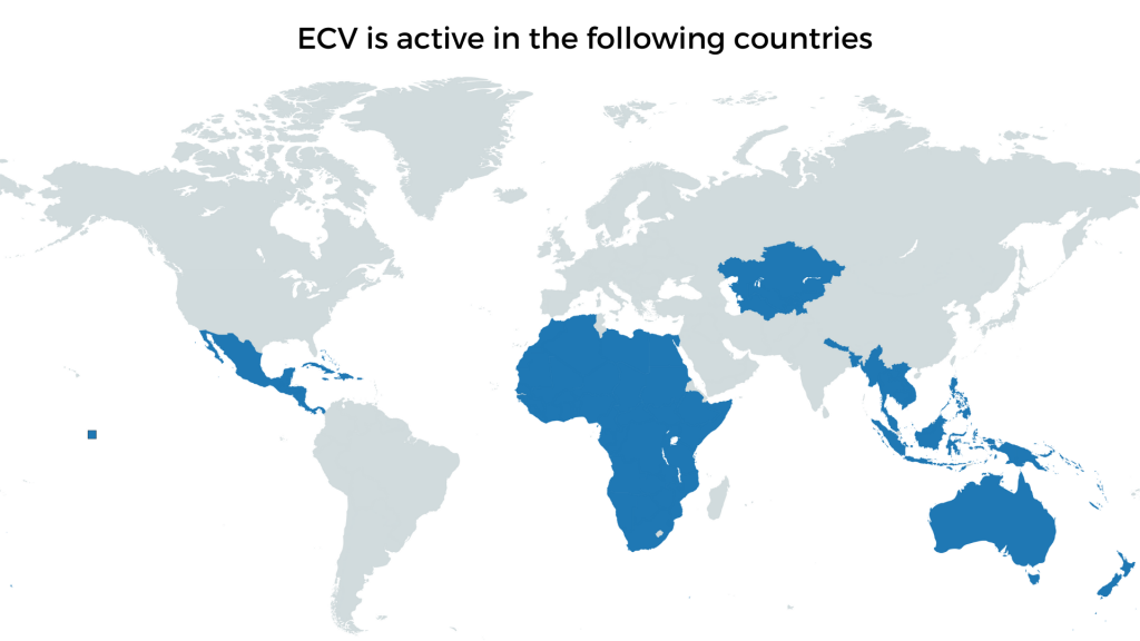 Gigger Group is preparing the next step for international expansion, including a letter of intent for a joint venture together with Emerging Classified Ventures (ECV)